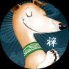 whippet_run
